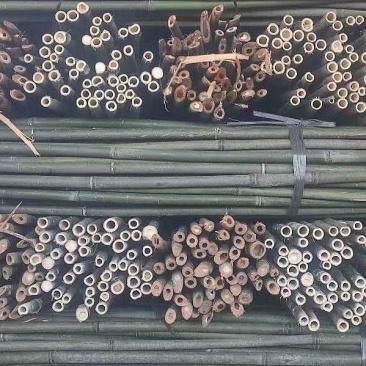 竹竿豆角架山药架辣椒杆菜架竹