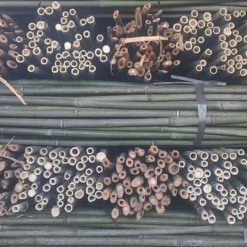 竹竿豆角架山药架辣椒杆菜架竹