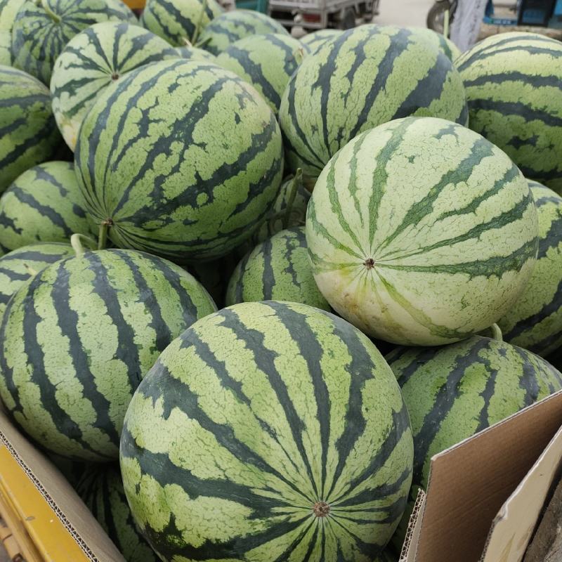 美都大量上市精品，需要的联系，保质保量。