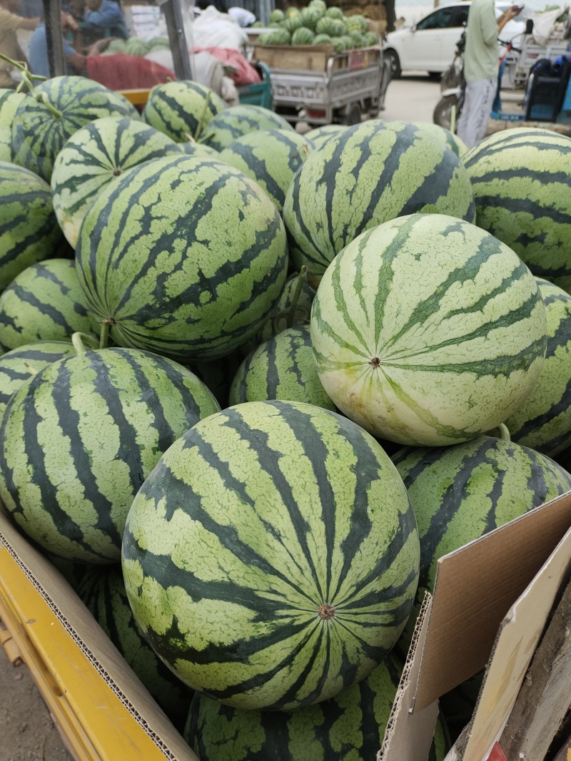 美都大量上市精品，需要的联系，保质保量。