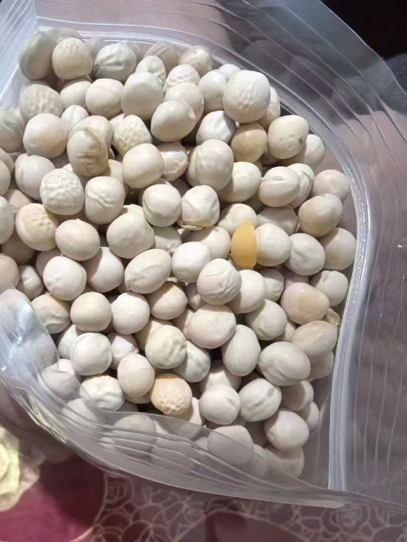 豌豆白豌豆大量有货产地直发一手货源可视频看货欢迎咨询