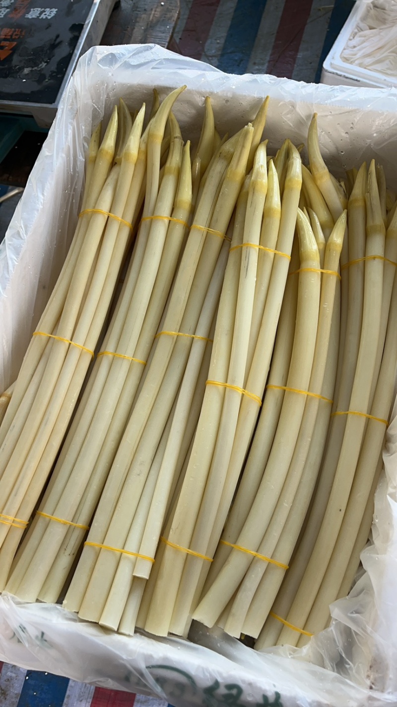 藕尖藕带。湖北仙桃特产