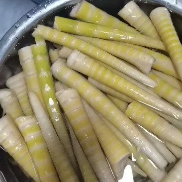 三月笋30万斤，有没有老板来下单，价格私聊，长期有货
