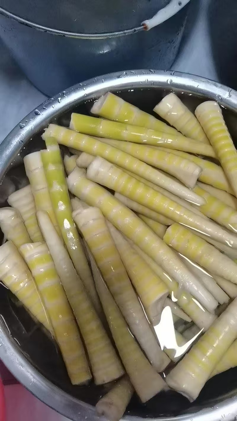 三月笋30万斤，有没有老板来下单，价格私聊，长期有货
