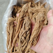 当归小条当归价格实惠