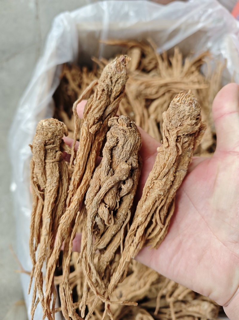 当归小条当归价格实惠