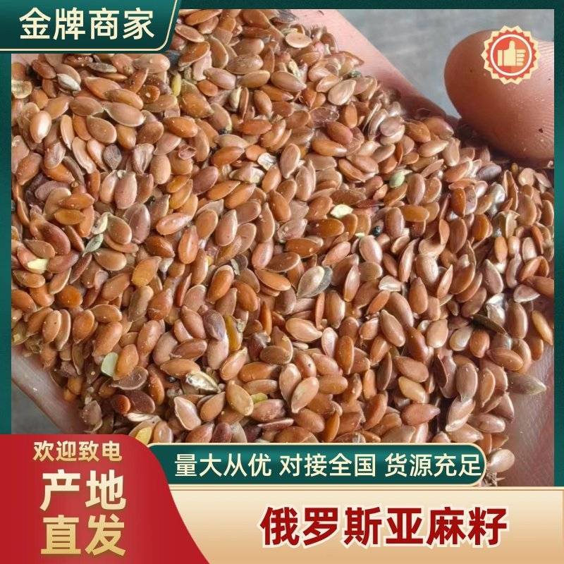 俄罗斯亚麻籽产地直发量大从优运费商议可视频看货