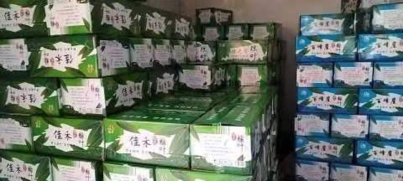 保鲜粽叶