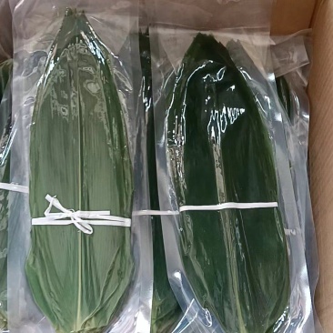 保鲜粽叶