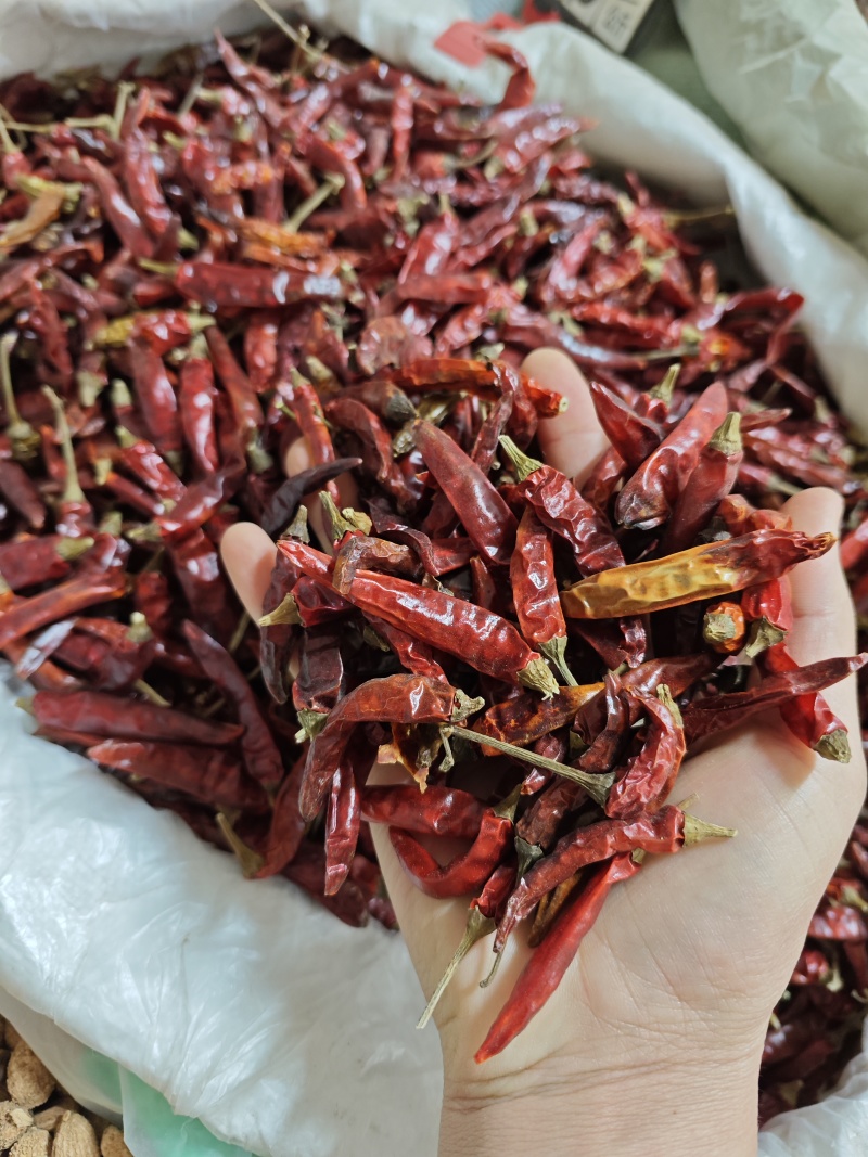 海南艳红椒辣椒干干辣椒可切段磨粉