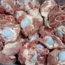 前腿骨