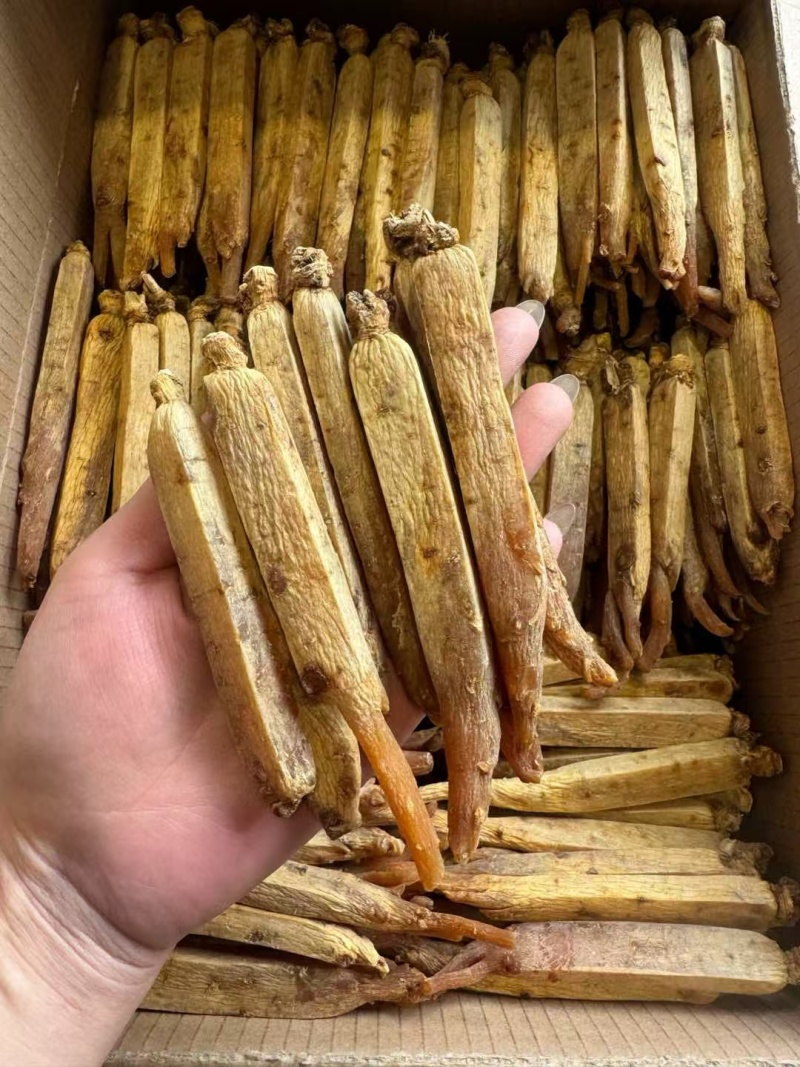 黄码褂红参，原产地发货，空调细选，质量**，大量供货