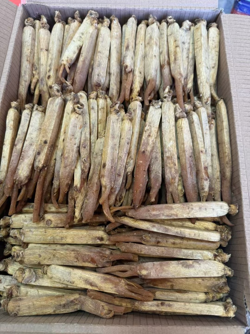 黄码褂红参，原产地发货，空调细选，质量**，大量供货