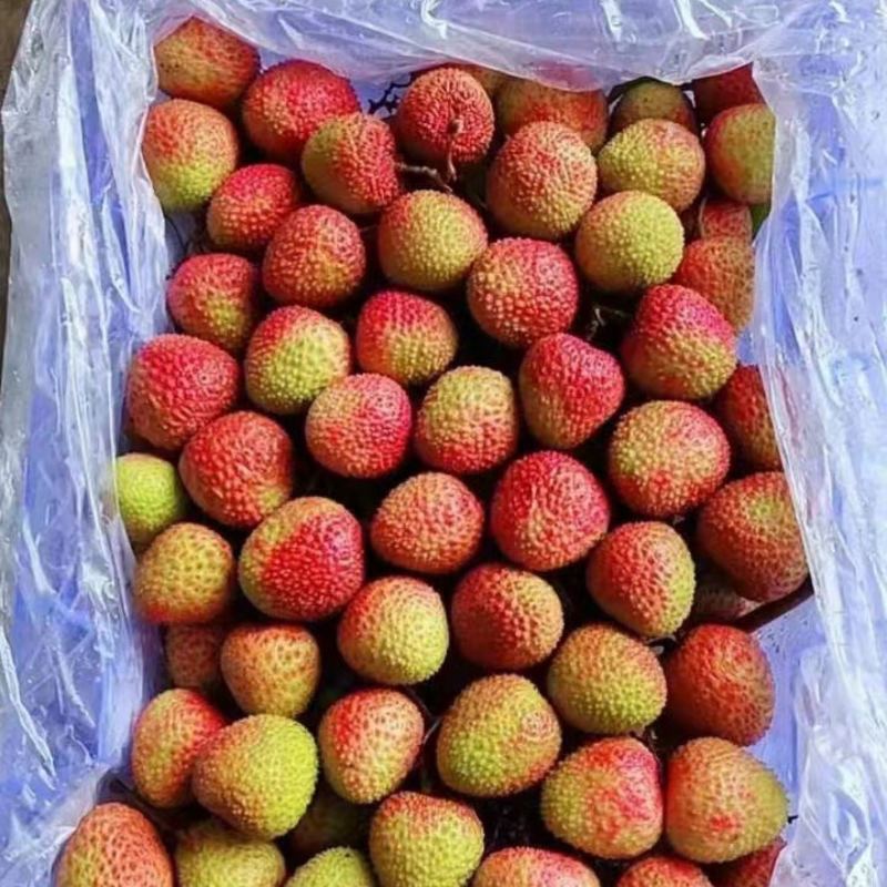 妃子笑荔枝