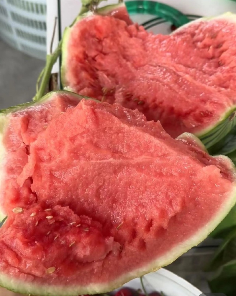 【无籽麒麟】夏邑西瓜一手货源保质保量现摘先发全国可供