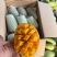 贵州贵妃芒台芒金煌市场发货，电商一件代发地里价