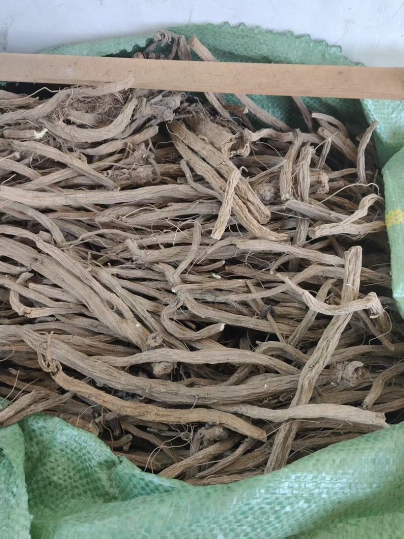 凉山续断自家种植品质保障量大从优欢迎来购