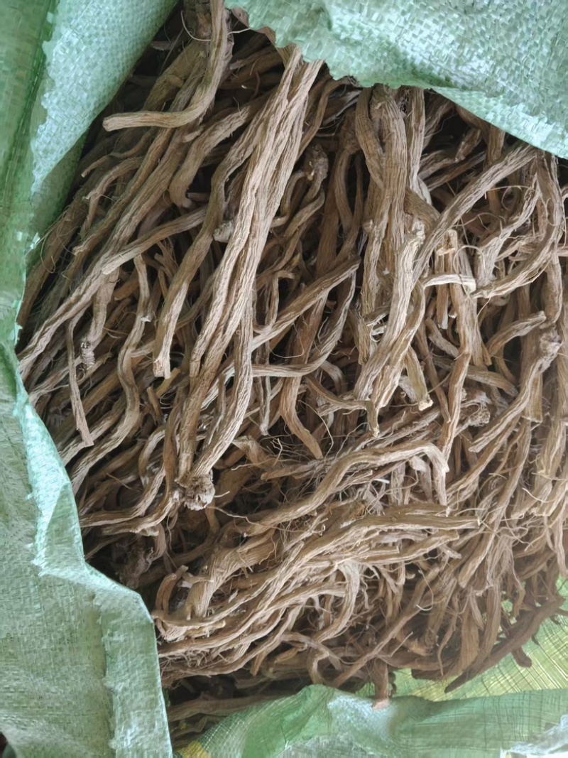 凉山续断自家种植品质保障量大从优欢迎来购