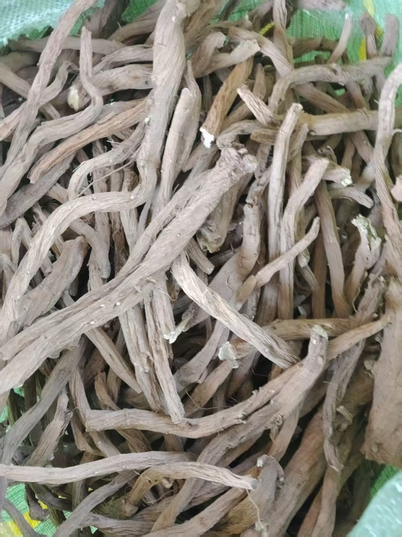 凉山续断自家种植品质保障量大从优欢迎来购