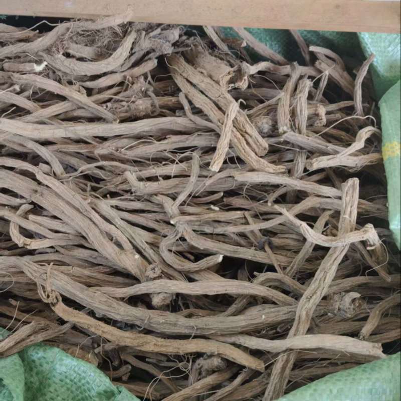 凉山续断自家种植品质保障量大从优欢迎来购