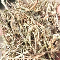 精品花生秧
