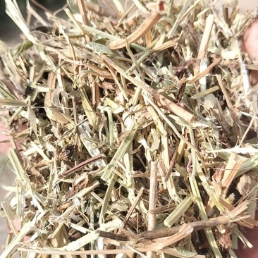 精品花生秧