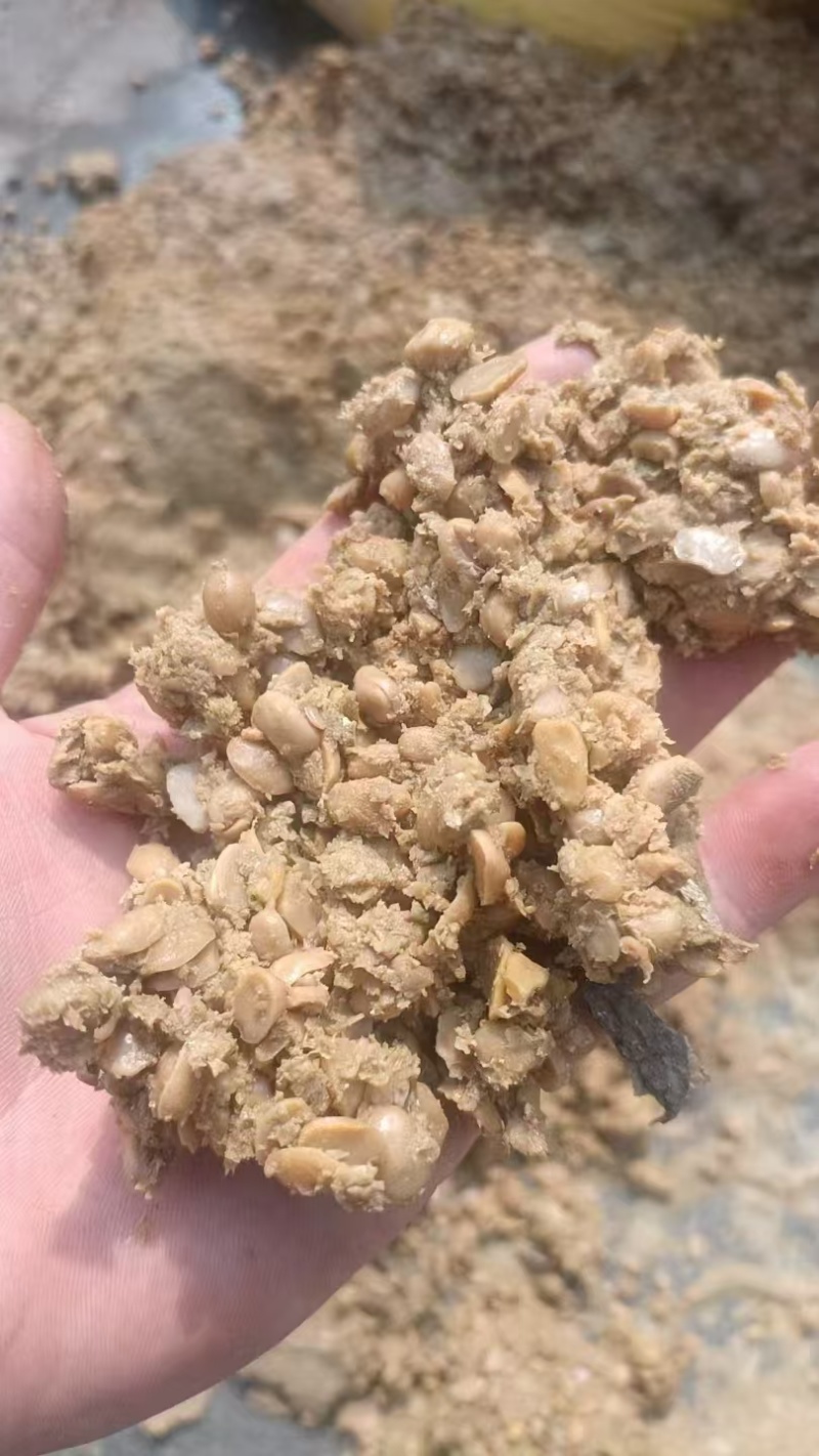 黄豆酱油渣，含豆量非常高，黄豆发酵，蛋白质高，有包装运输