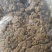 黄豆酱油渣，含豆量非常高，黄豆发酵，蛋白质高，有包装运输