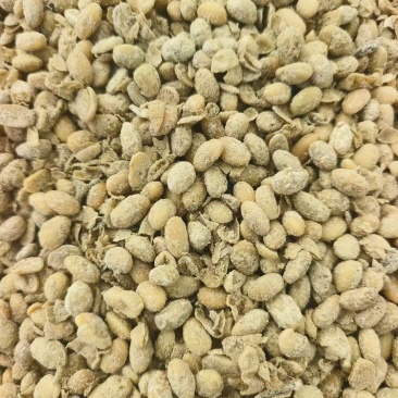 益生菌发酵大豆颗颗都是纯粮食。厂家直销