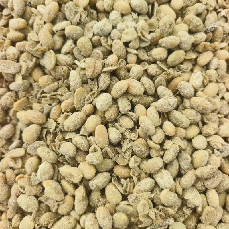 益生菌发酵大豆颗颗都是纯粮食。厂家直销