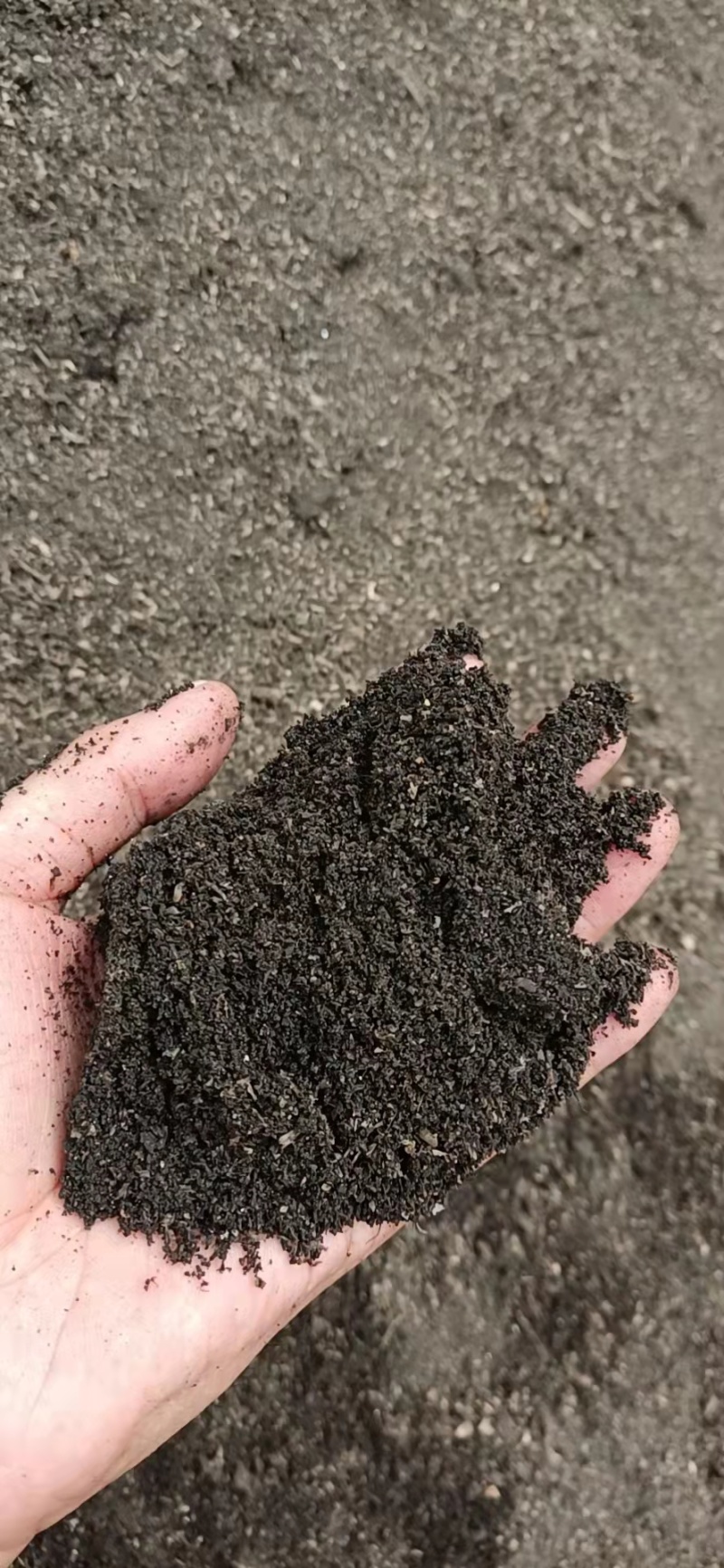 草碳土，泥炭土，种花，绿化专用肥，
