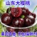 山东大樱桃，大量上市，一件代发，社区团购，品种齐全
