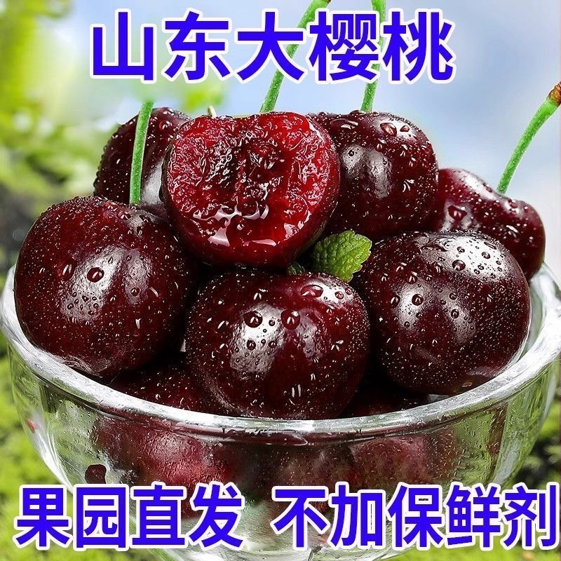 山东大樱桃，大量上市，一件代发，社区团购，品种齐全