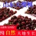 山东大樱桃，大量上市，一件代发，社区团购，品种齐全