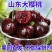 山东大樱桃，大量上市，一件代发，社区团购，品种齐全