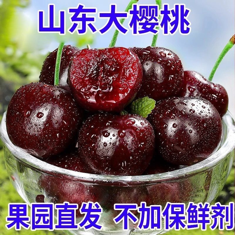 山东大樱桃，大量上市，一件代发，社区团购，品种齐全