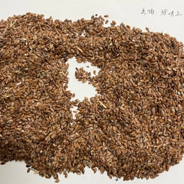 俄罗斯亚麻籽胡麻亚麻子