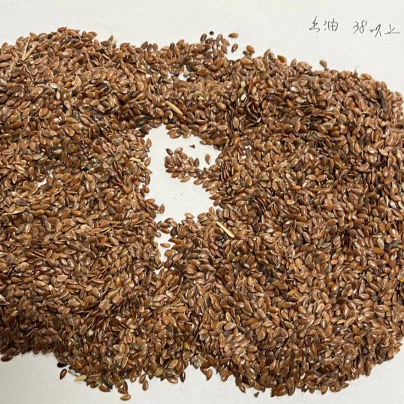 俄罗斯亚麻籽胡麻亚麻子