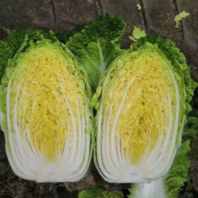 陆地黄心大白菜，全国代发代收保证质量可视频看货
