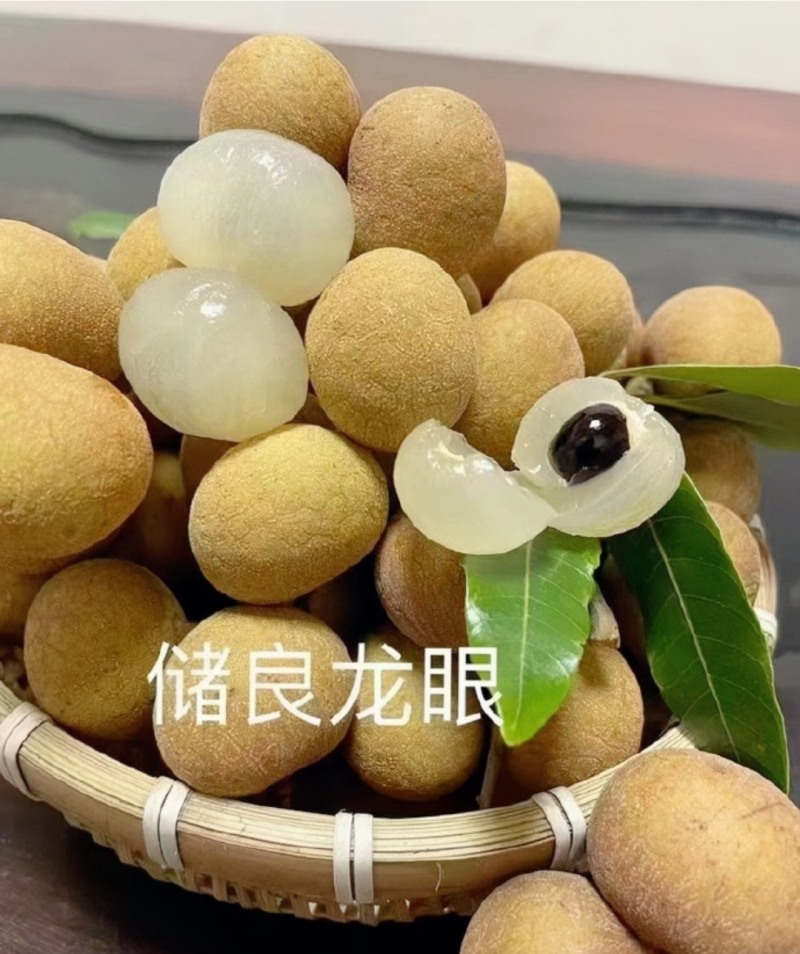 储良龙眼苗，嫁接苗，苗子漂亮