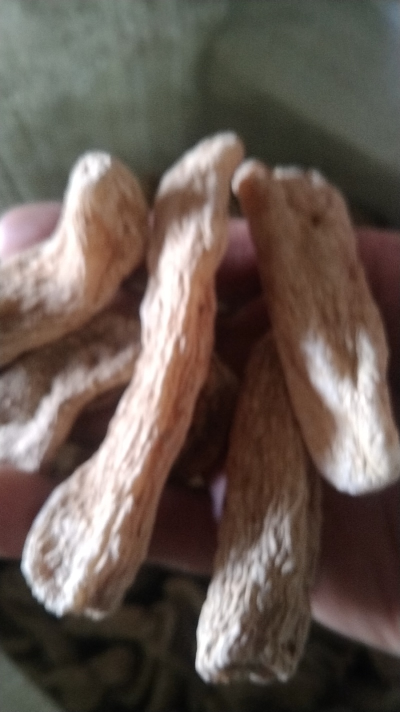 天麻，陕西安康宁陕县深山天麻个子，干度足规格齐全。