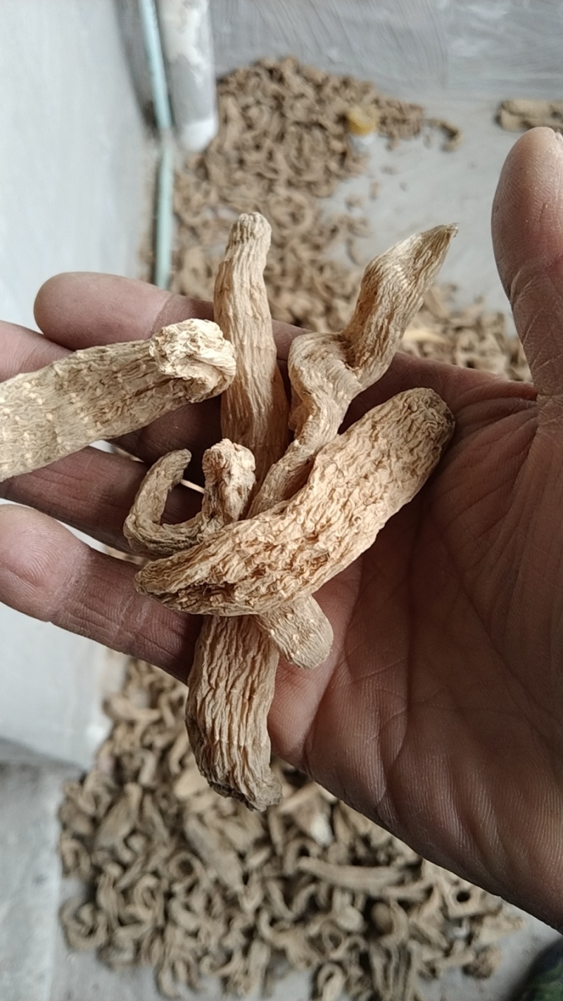 天麻，陕西安康宁陕县深山天麻个子，干度足规格齐全。