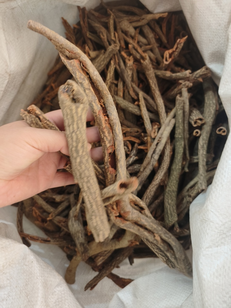中药材红杜仲批发零售保证质量