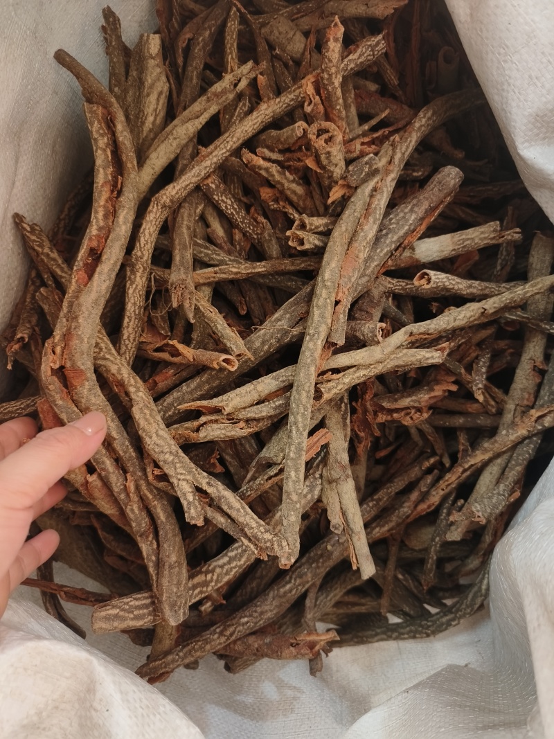 中药材红杜仲批发零售保证质量