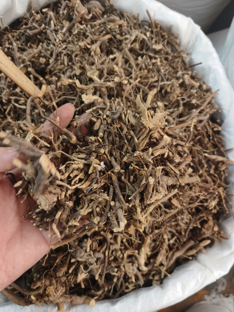 三月泡茅莓根货源充足，保证质量10公斤以上更优