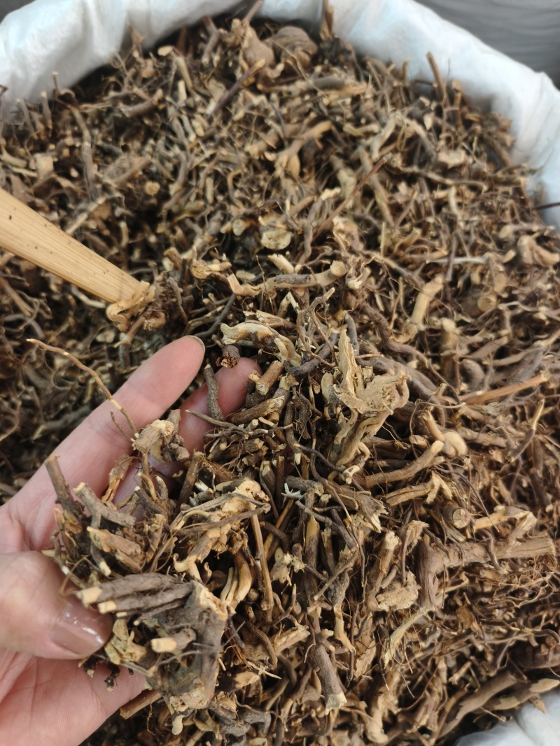 三月泡茅莓根货源充足，保证质量10公斤以上更优