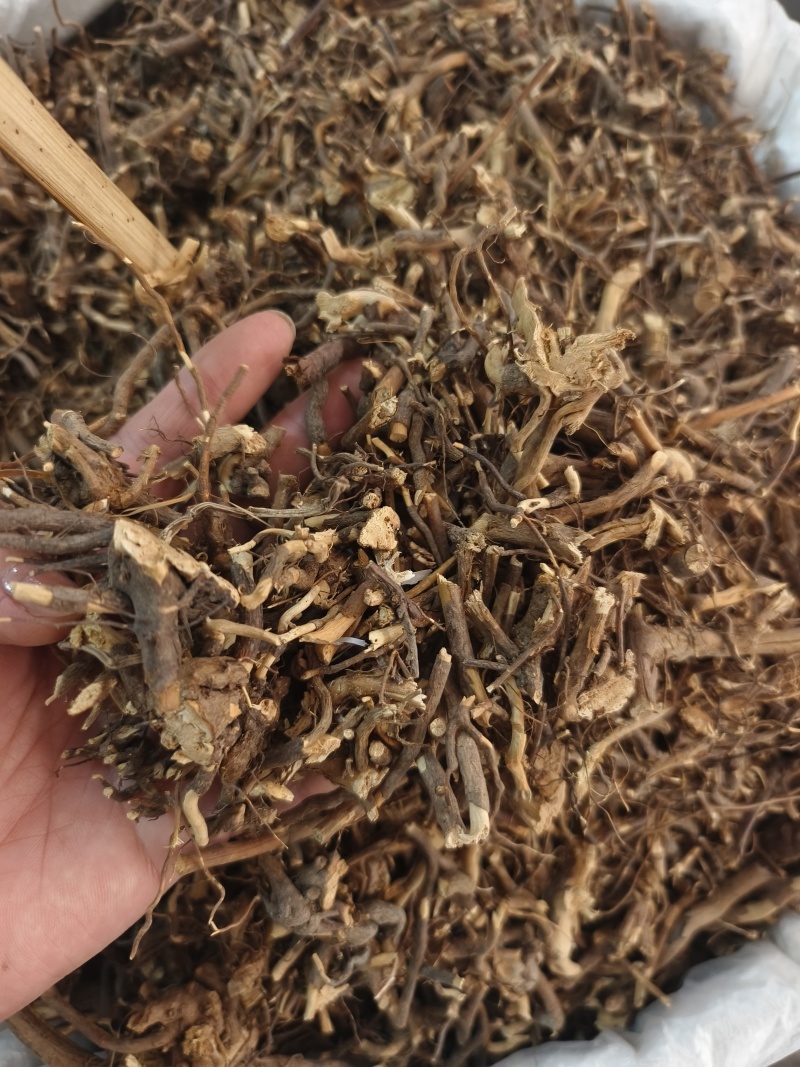 三月泡茅莓根货源充足，保证质量10公斤以上更优
