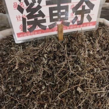 溪黄草藤茶有货，批发零售，保证质量