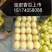 陆地直根京密和暖冷棚吊秧京蜜香瓜，4月一6月大量上市