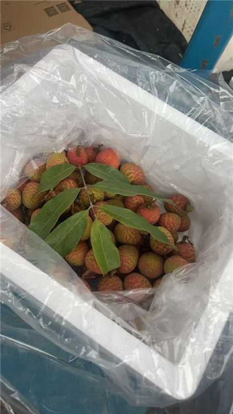 诚信经营，一手货源，产地直发，服务周到
